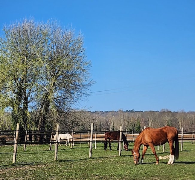 LES ECURIES DES PETITS PRES