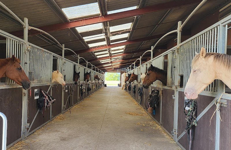 LES ECURIES DES PETITS PRES - photo 2