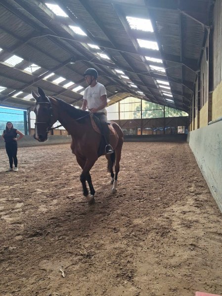 Ecuries de la Breuvanne (Les) sprl - photo 2