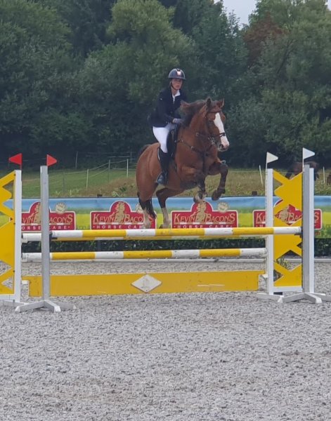 Ecurie De La Haute Semois - photo 3