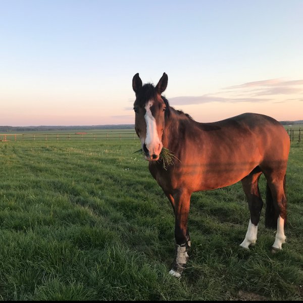 Ecurie P&P Masdupuy - photo 3