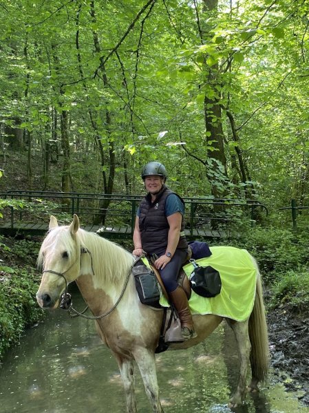 ECURIES DE LA DEMI LIEUE - photo 2