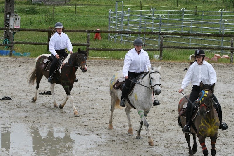 ECURIES DE LA DEMI LIEUE - photo 3