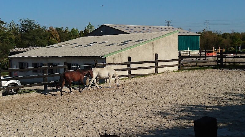 Les Ecuries D'Amy - photo 3