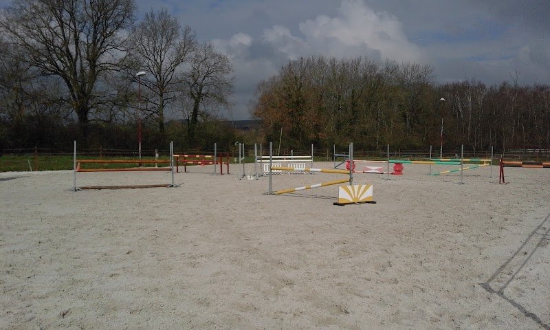 ECURIE DE R'EVE :Écurie de proprietaires : reims