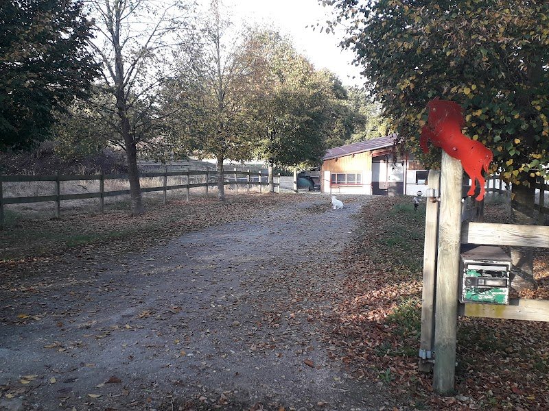 ECURIE DE R'EVE :Écurie de proprietaires : reims - photo 2