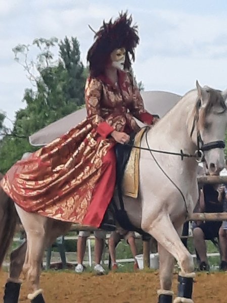 Les Indomptables - Cheval - Feu - Aérien