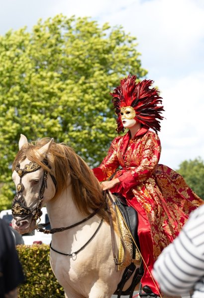 Les Indomptables - Cheval - Feu - Aérien - photo 3