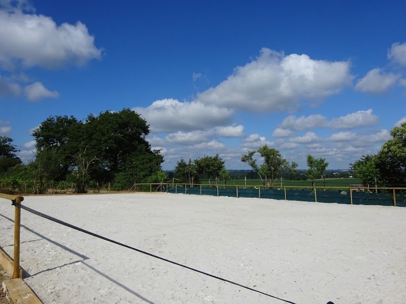 Pension cheval Les sabots de fiesta - photo 3