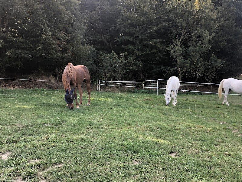 Écurie du Grand Chêne - photo 1