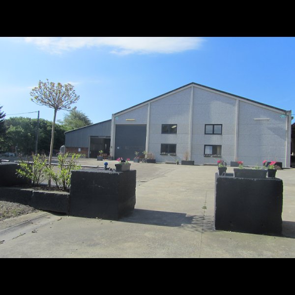 Haras de lorie - photo 2