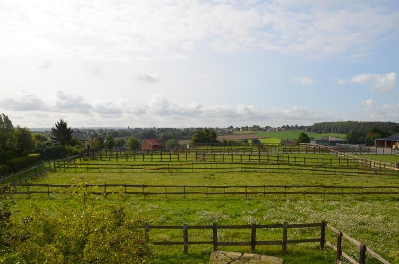 Les Ecuries de l'Abbaye SPRL - photo 1