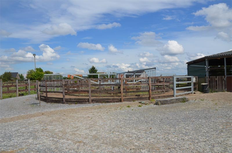 Les Ecuries de l'Abbaye SPRL - photo 2