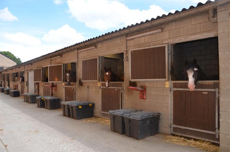 Les Ecuries de l'Abbaye SPRL - photo 3