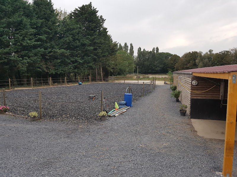 Écurie equestri'art - photo 2