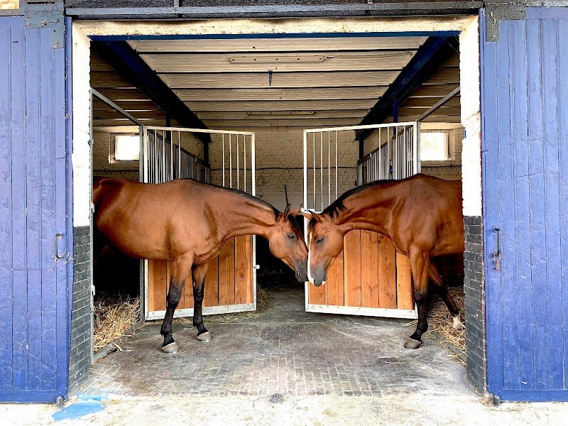 Écuries de l'Avre - photo 3