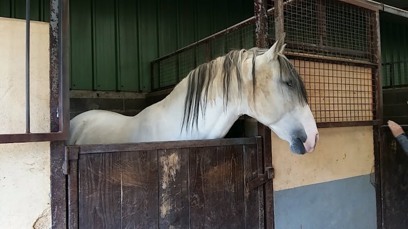 Centre Equestre de Marville - photo 2