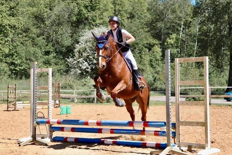 Centre Equestre de Marville - photo 3