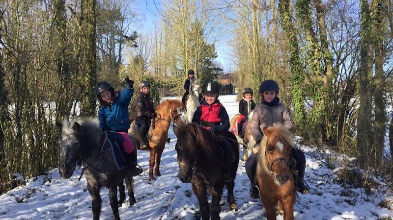 Ecurie de Macquigny - photo 2