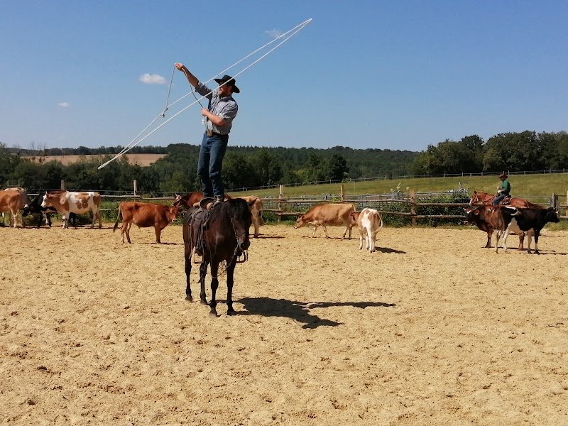 Quarter Horse 55 - photo 3