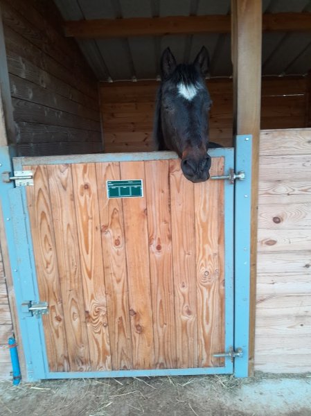 Les écuries de Saint Pancré - photo 2