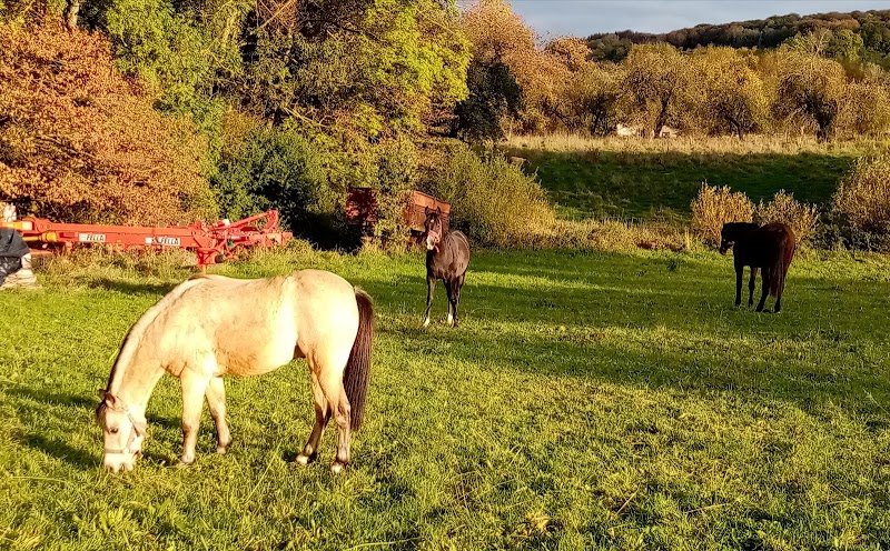 Les écuries de Saint Pancré - photo 3