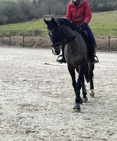 Ecurie des Sources - photo 2