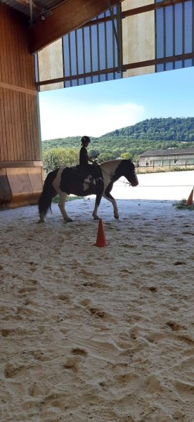 Ecurie des Sources - photo 3