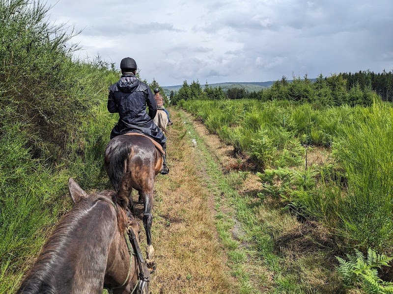 Les Cavaliers de Saint-Remacle - photo 2