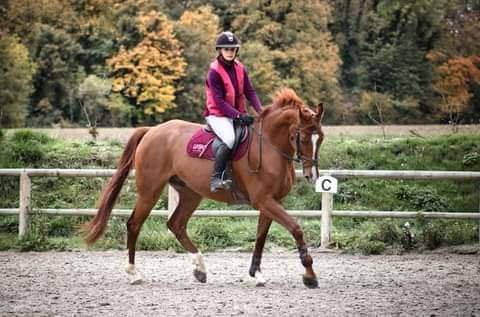 Sarl Royer Babel (les ecuries d Aquarelle ) - photo 2