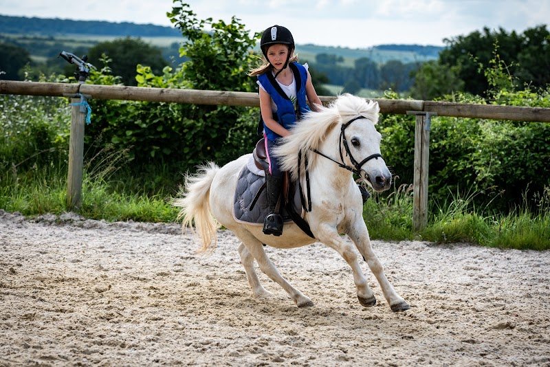 Centre Equestre de l'Aunil - photo 3
