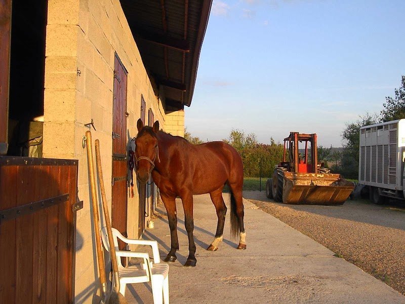 HARAS DU MAY - photo 2