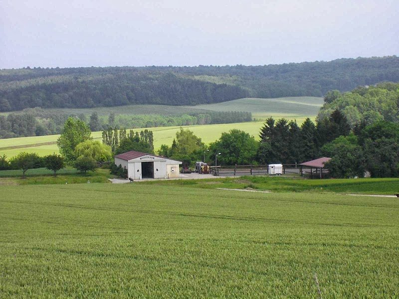 HARAS DU MAY - photo 3