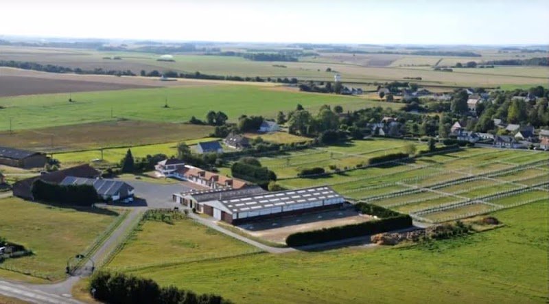 Écuries de Fluquieres / Élevage du burguet