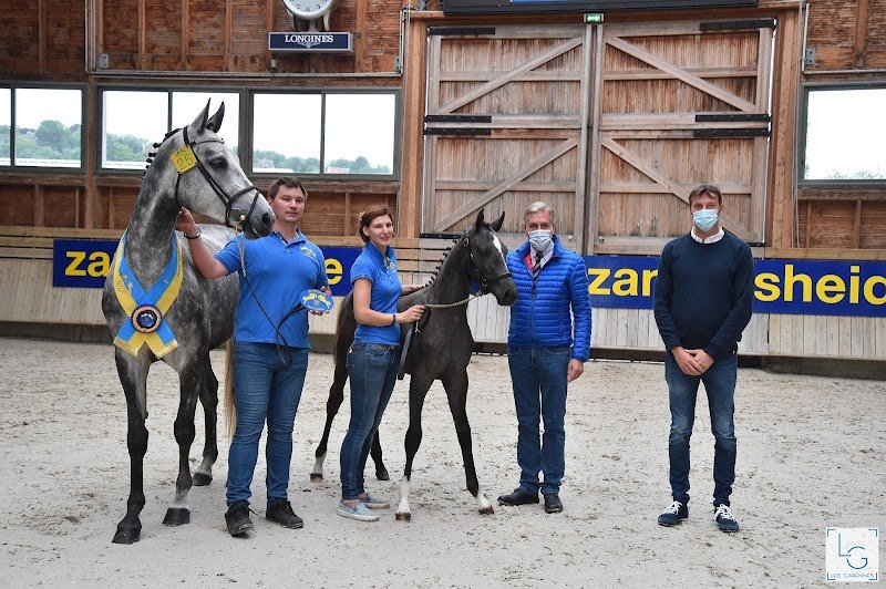 Écuries de Fluquieres / Élevage du burguet - photo 3
