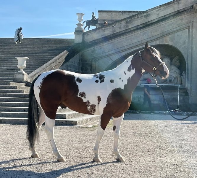 Ecuries Lalaux laville - photo 1