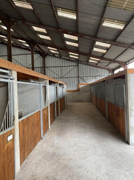 Ecurie du Valhalla - photo 2