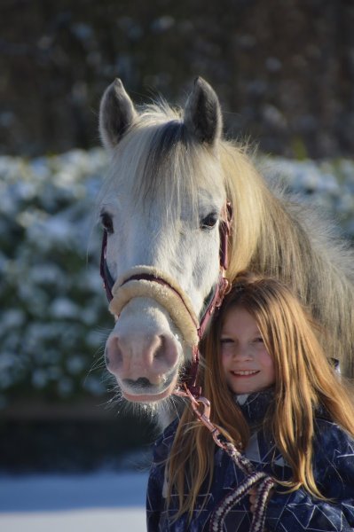 Ecuries du Hardret - ASBL Cheval funambule - photo 1