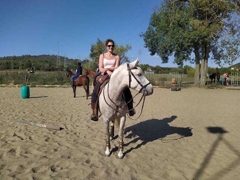 Ecuries des Terres du Nord - photo 1