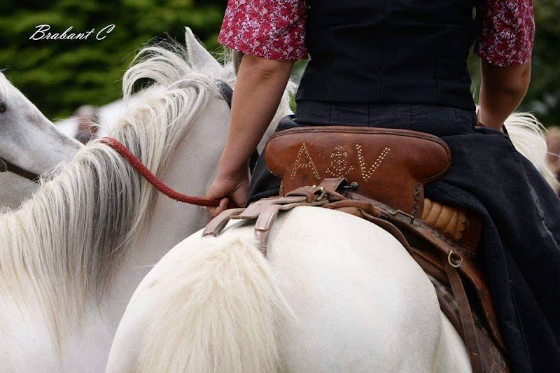 Ecuries des Terres du Nord - photo 3