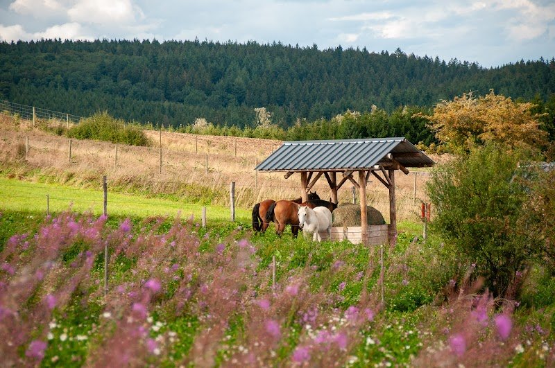 Cheval'liens - photo 2