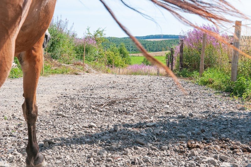 Cheval'liens - photo 3