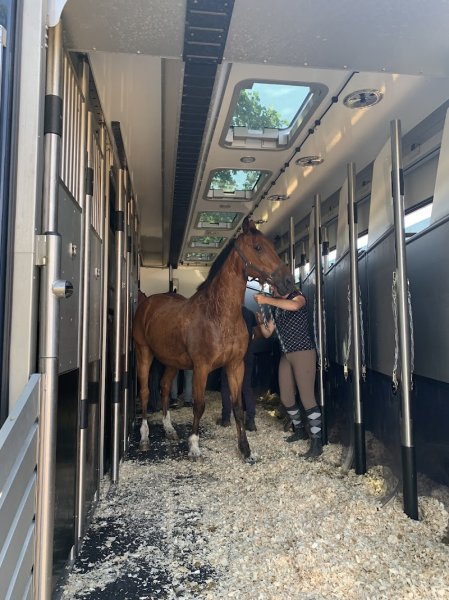 Les Nouvelles Écuries de La Gaume - photo 2