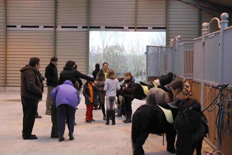 Les Ecuries AR - Bux Poney - photo 2