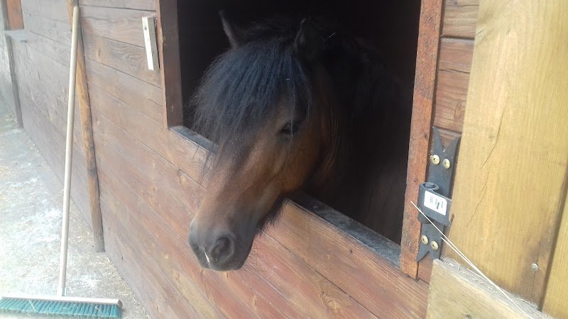 Écurie de la Galine - photo 3