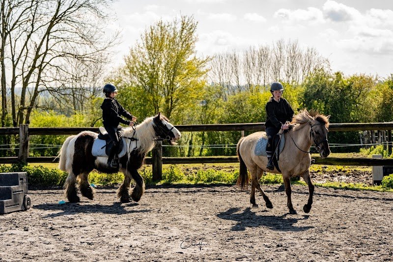 Ferme équestre du Petit Bois - photo 2