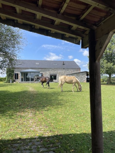 Ferme équestre du Petit Bois - photo 3