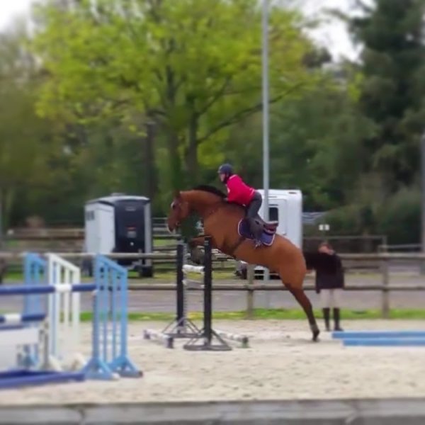 Ecurie Equivalor - photo 1