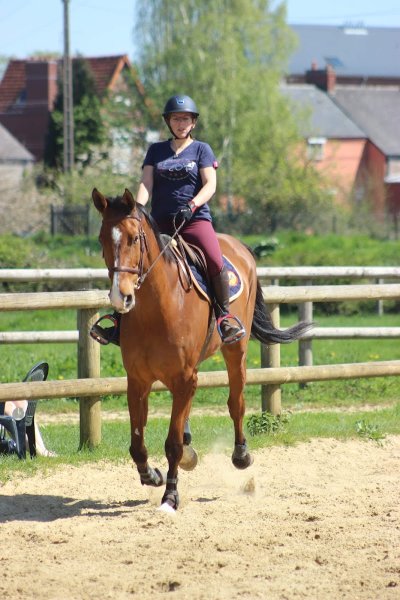 Ecurie Equivalor - photo 2