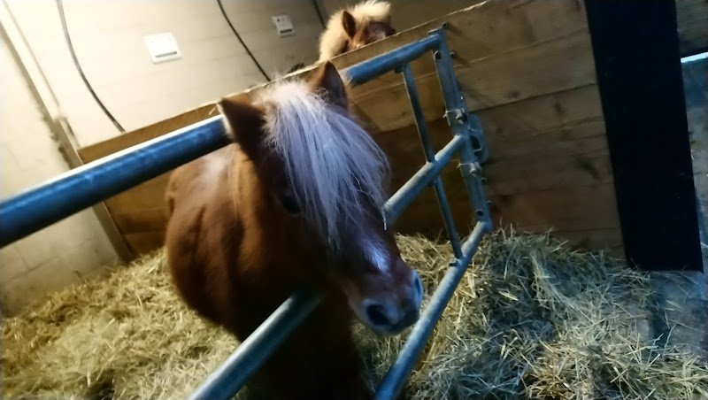 Ecurie Equivalor - photo 3